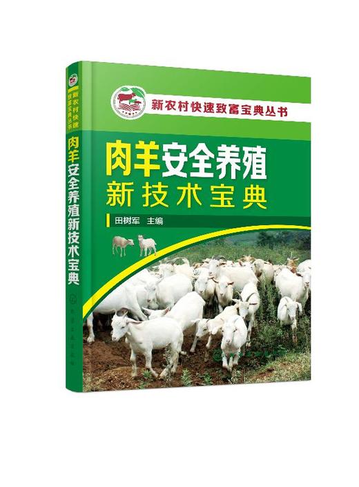 新农村快速致富宝典丛书 肉羊安全养殖新技术宝典 羊场环境控制 饲料质量控制技术 高i效繁殖技术 疫病防控技术 养羊与羊病防治书籍 商品图0