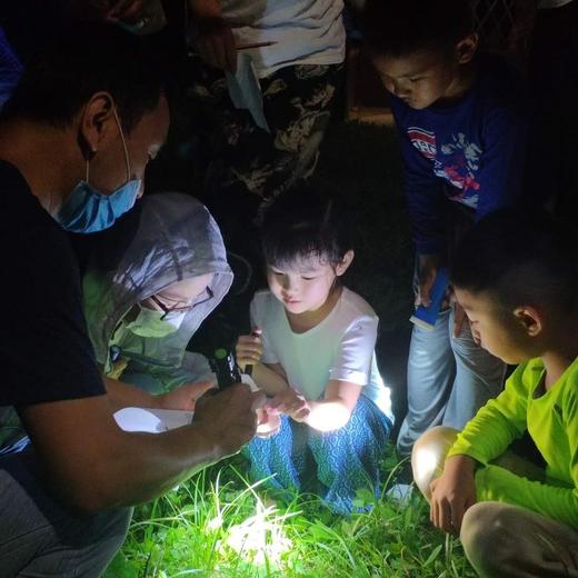 夜观动物活动 | 农园活动 * Night view  in the farm | Farm activities 商品图0