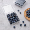 喇叭花125g蓝莓盒水果一次性透明樱桃草莓包装塑料加厚桑果盒100个 商品缩略图1