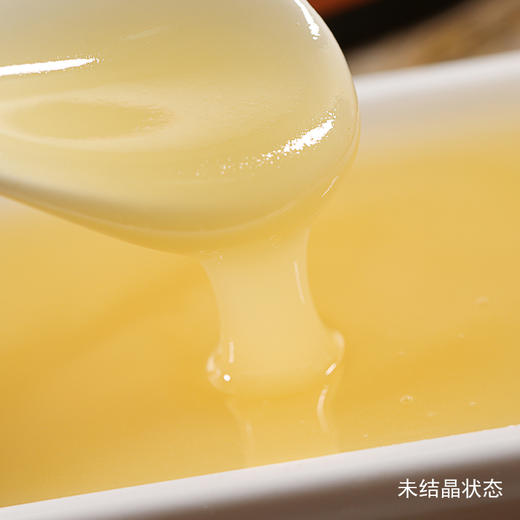 天野园 椴树雪蜜 便携装 12袋共144克 好蜜出自长白山 甜糯甘润 状如羊脂 入口即化 商品图2