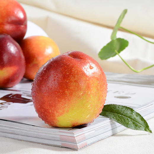 【桃子季的第六年】来自黄河故道两岸砀山的新鲜露天油桃 净重4.5斤+ 商品图2