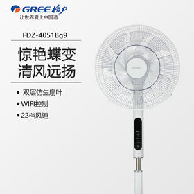 GREE 格力 家用电风扇遥控落地扇 FDZ-4051Bg9