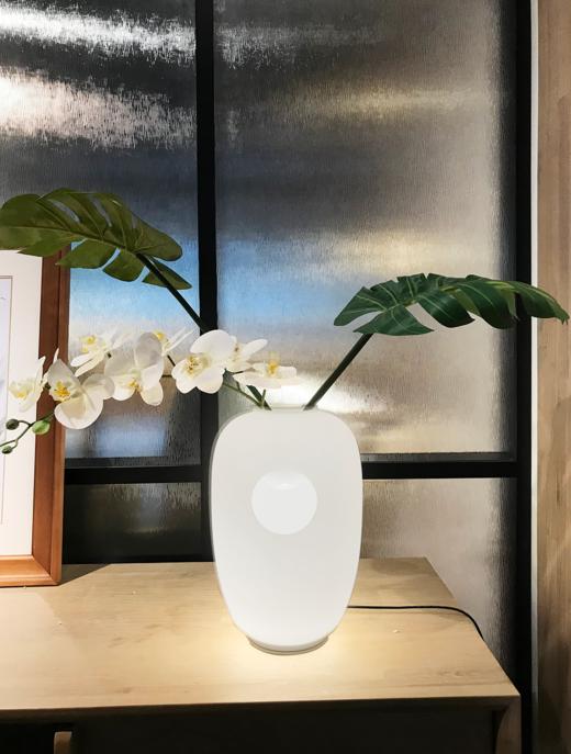 NS家居nsfurniture花瓶灯装饰灯台灯NSLT-TA-N013010200BY 商品图0