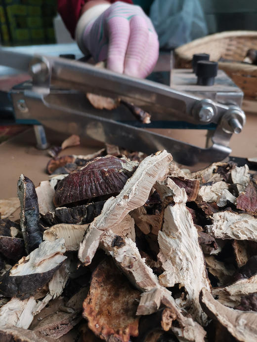 特级野生灵芝 商品图4