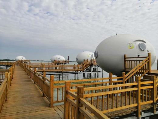 沙湖奇趣蛋蛋屋地球仓星月居火遍全网的野趣民宿亲子情侣家人度假天堂