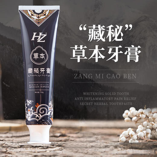 HZ藏秘草本牙膏——展现自信笑容 商品图0