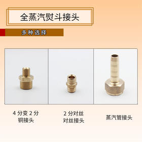 铜制接头--蒸汽管烫台接头 4分变2分 2分对丝接头 蒸汽管接头