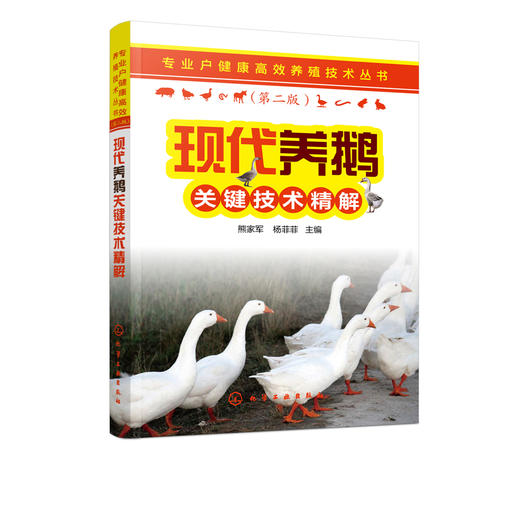 专业户健康高i效养殖技术丛书 现代养鹅关键技术精解  鹅的营养需要与日粮配合繁育饲养管理 疾病防治及养鹅场建设与经营管理 商品图5