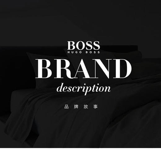 Hugo Boss乳胶枕 商品图6