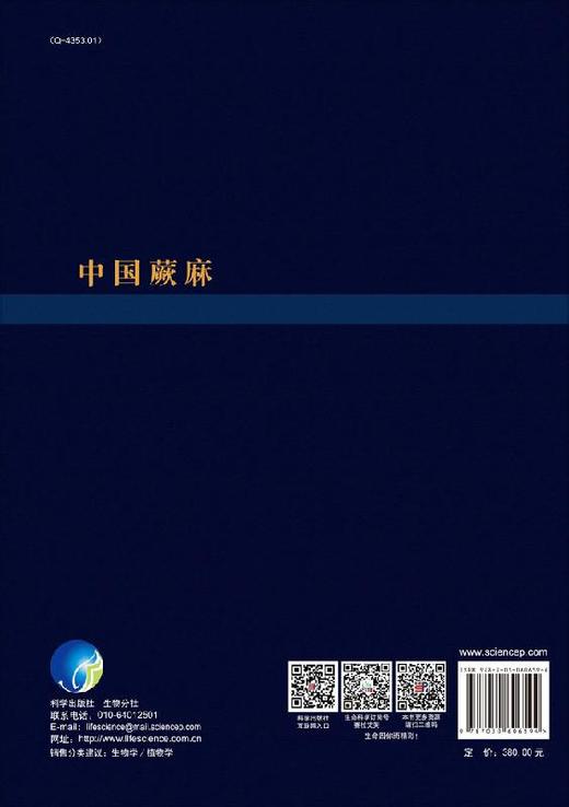 中国蕨麻 商品图1