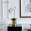 手感保湿蝴蝶兰仿真花兰花摆件客厅假花高档轻奢ins北欧装饰摆设 商品缩略图3