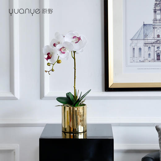 手感保湿蝴蝶兰仿真花兰花摆件客厅假花高档轻奢ins北欧装饰摆设 商品图3