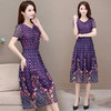 YWE-YY20XR28夏新款气质减龄印花连衣裙 商品缩略图1
