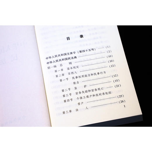 中华人民共和国民法典 商品图1