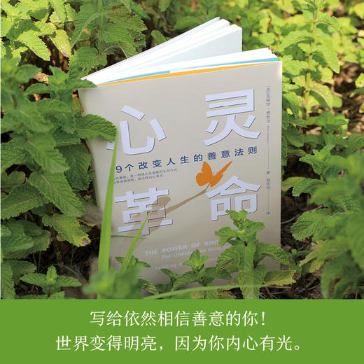 心灵革命：19个改变人生的善意法则 商品图4