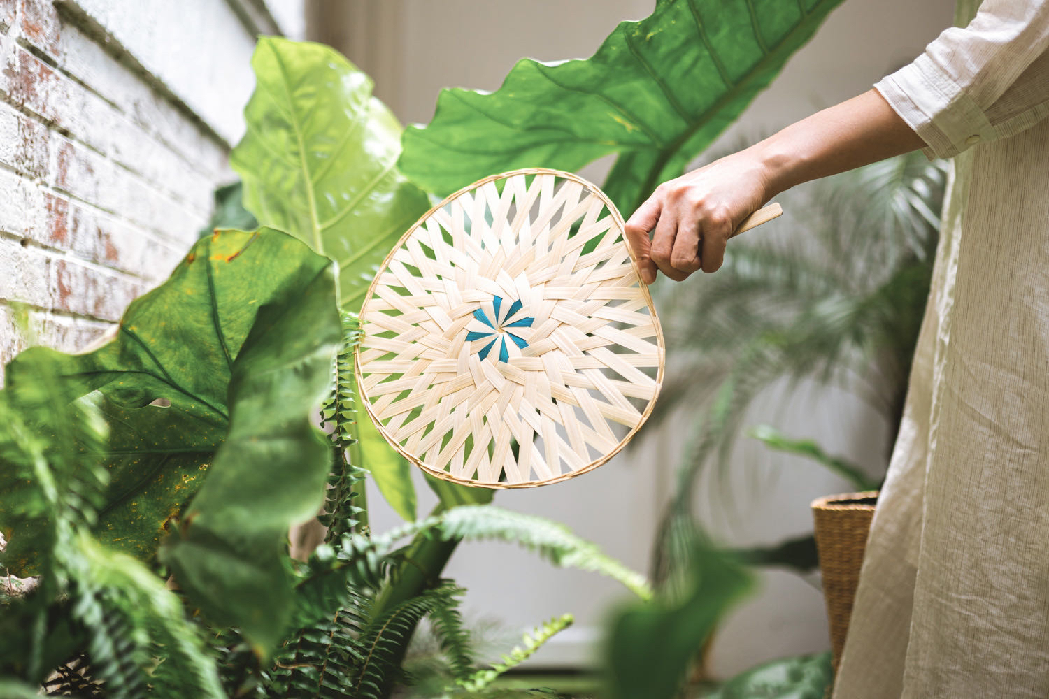 艾扇凉自然家x阿原夏日清凉方案夏日限定特价