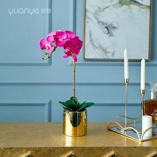 手感保湿蝴蝶兰仿真花兰花摆件客厅假花高档轻奢ins北欧装饰摆设 商品图2