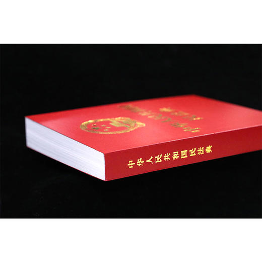 中华人民共和国民法典 商品图4