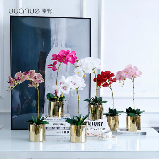 手感保湿蝴蝶兰仿真花兰花摆件客厅假花高档轻奢ins北欧装饰摆设 商品图0