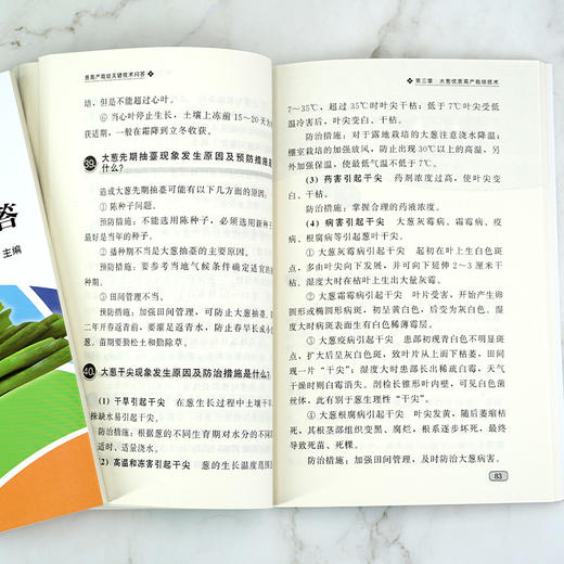 科学种菜致富问答丛书 葱高产栽培关键技术问答 大葱高产栽培技术细香葱栽培技术葱病虫草害防i治技术葱贮藏保鲜与加工技术图书籍 商品图3