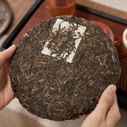 爻牌丨象山7542 生普 勐海普洱生茶 2014年原料 357g 新旧包装随机发货 商品图2