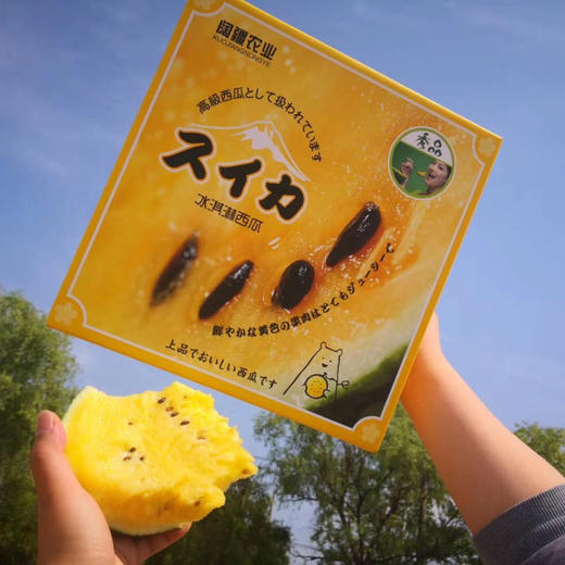 💋黄瓤🍦西瓜、吃起来 晶黄色的果肉 清爽解渴💥甘甜多汁💥口感脆甜💥 声明：快递损坏不赔哈，请慎拍！4只/箱 约14斤 商品图9