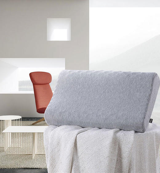 Hugo Boss乳胶枕 商品图0