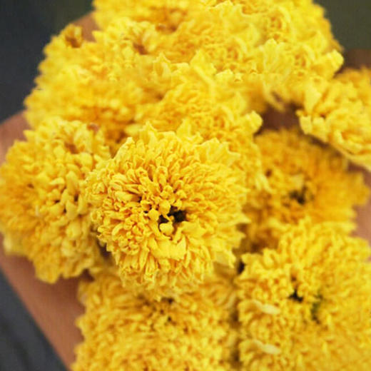 有机婺源皇菊一级纸盒装 8.8g/盒 【适宜人群：用眼过度、肝火旺盛等人群】 商品图3