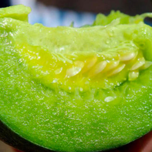 【消费助农】脆宝甜瓜(6个装 净重:约8斤)