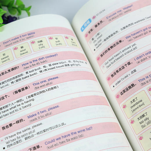 旅游英语口语 大家的旅行英语入门学习书 图解一看就会 商品图1