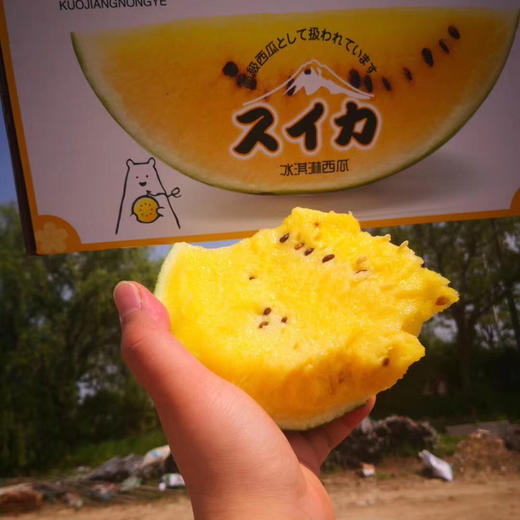 💋黄瓤🍦西瓜、吃起来 晶黄色的果肉 清爽解渴💥甘甜多汁💥口感脆甜💥 声明：快递损坏不赔哈，请慎拍！4只/箱 约14斤 商品图7