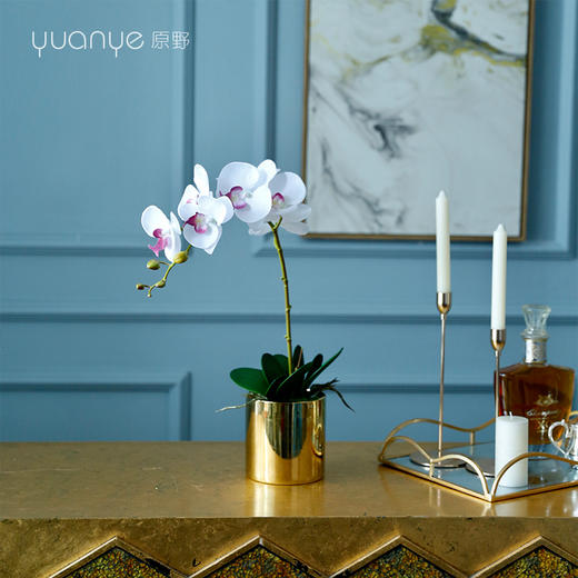 手感保湿蝴蝶兰仿真花兰花摆件客厅假花高档轻奢ins北欧装饰摆设 商品图1