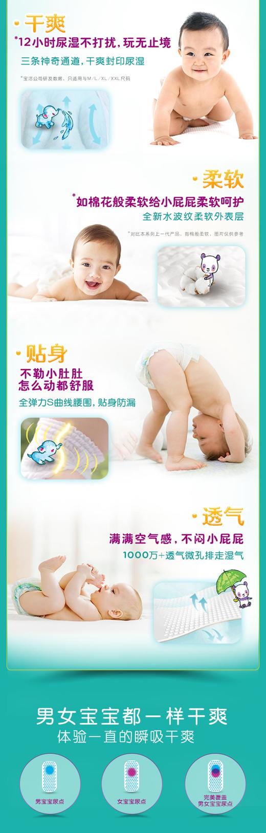 帮宝适（Pampers）超薄干爽网络装拉拉裤 XXL86片JPY带授权招加盟代理 商品图4