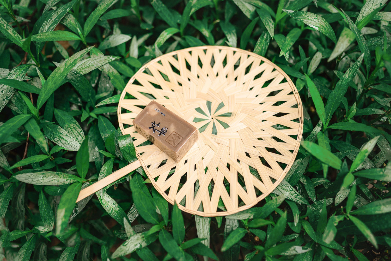 艾扇凉自然家x阿原夏日清凉方案夏日限定特价