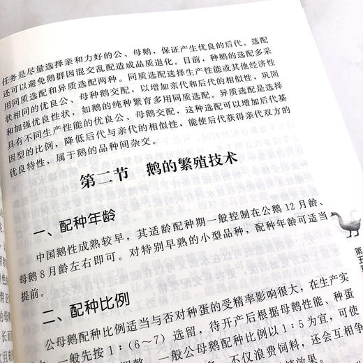 专业户健康高i效养殖技术丛书 现代养鹅关键技术精解  鹅的营养需要与日粮配合繁育饲养管理 疾病防治及养鹅场建设与经营管理 商品图2