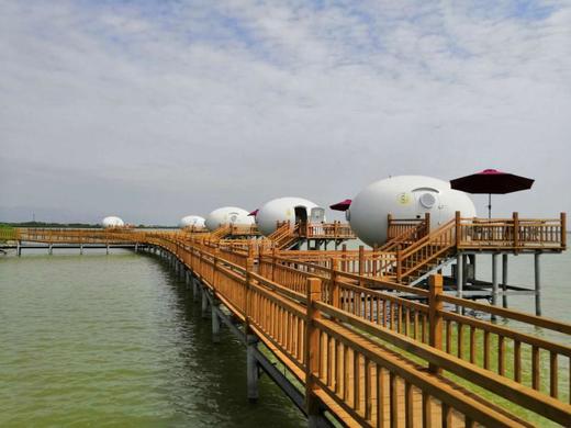 沙湖奇趣蛋蛋屋地球仓星月居火遍全网的野趣民宿亲子情侣家人度假天堂