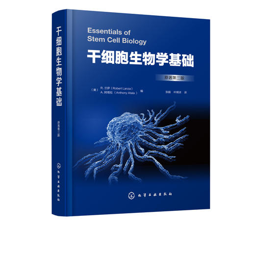 干细胞生物学基础  兰萨干细胞生物学特性调控机制外胚层中胚层内胚层干细胞治疗人类疾病应用技术干细胞作用机制伦理临床应用前景 商品图2