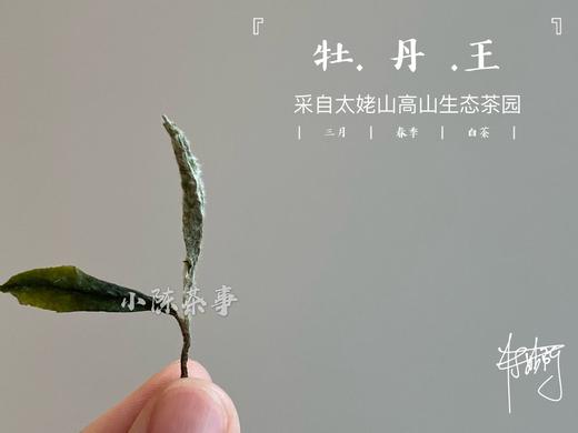 2020有机牡丹王，源自小陈茶事太姥山生态有机茶园 商品图2