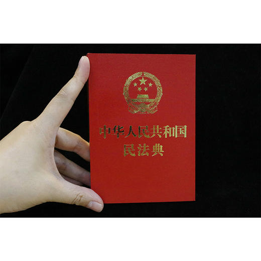 中华人民共和国民法典 商品图2