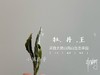 2020有机牡丹王，源自小陈茶事太姥山生态有机茶园 商品缩略图1