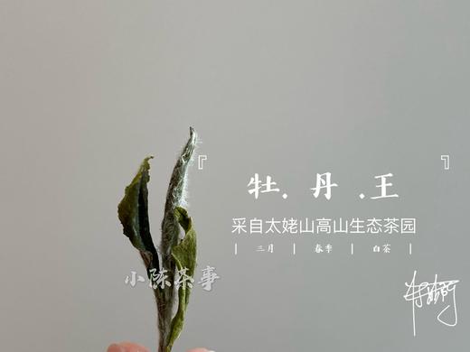 2020有机牡丹王，源自小陈茶事太姥山生态有机茶园 商品图1