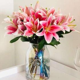 百合-索尔邦-一头-10枝/扎