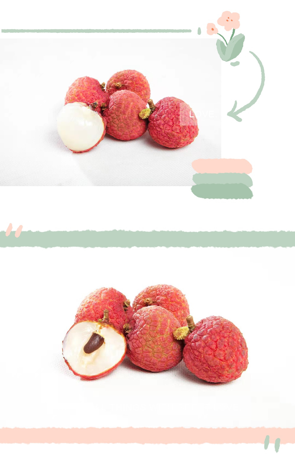 荔枝--贵妃红a级果