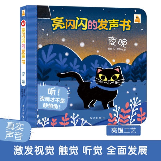 傲游猫-亮闪闪的发声书（2册）-夜晚 原价56.8 商品图0