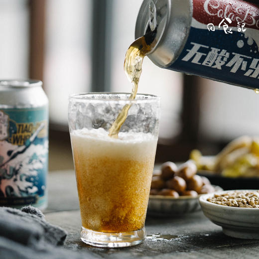 跳东湖·ipa/可乐酸啤酒 精酿啤酒6罐装