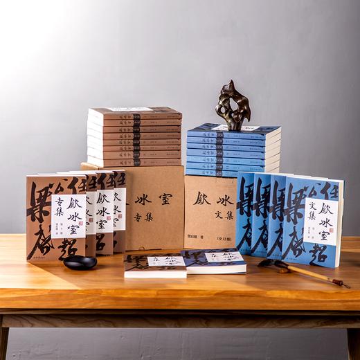 《饮冰室合集》（全25册）| 影响中国半个世纪的著作，简体横版首次面世 商品图6