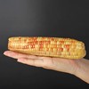 云南西双版纳香糯小玉米  4斤 （真空袋保鲜发货） 商品缩略图5