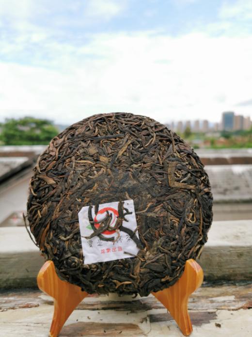 勐宋山古树春茶 商品图1