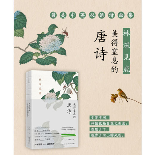 美得窒息的中英双语诗画集（六神磊磊诚挚推荐） 商品图2