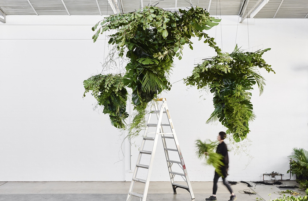 中商原版松叶绿化空间植物花艺装饰装置艺术英文原版looseleafplants